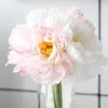 Simulated bouquet of rosemary 7 stems, silk flower, small bouquet for home decoration, factory sales, wedding bouquet Y7031 Item Picture